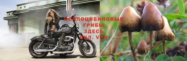 прущая мука Арсеньев