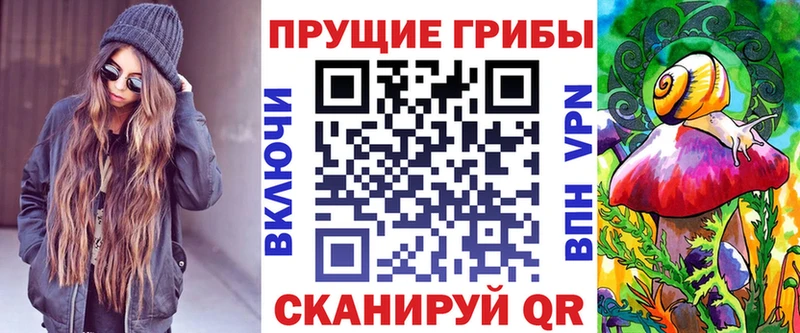 Галлюциногенные грибы Psilocybine cubensis  Петровск-Забайкальский 