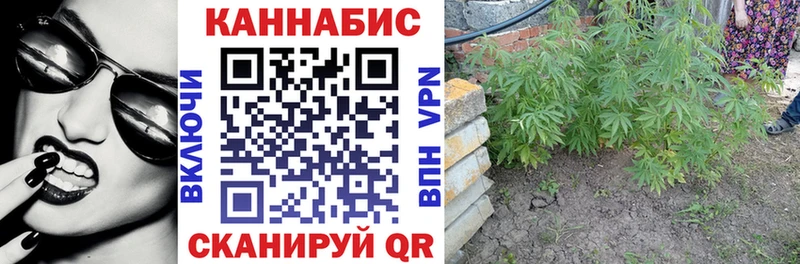 Конопля AK-47  darknet Telegram  Петровск-Забайкальский  как найти закладки 